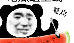 52每日大瓜视频 吃瓜视频网站黑料视频,吃瓜网站黑料视频背后的真相